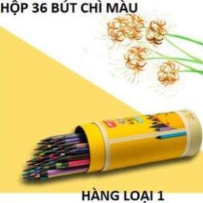 BÚT CHÌ MÀU HÃNG nhiều màu, chất lượng cao PENSING 36 CÂY cho bé - TongkhoGiaDung