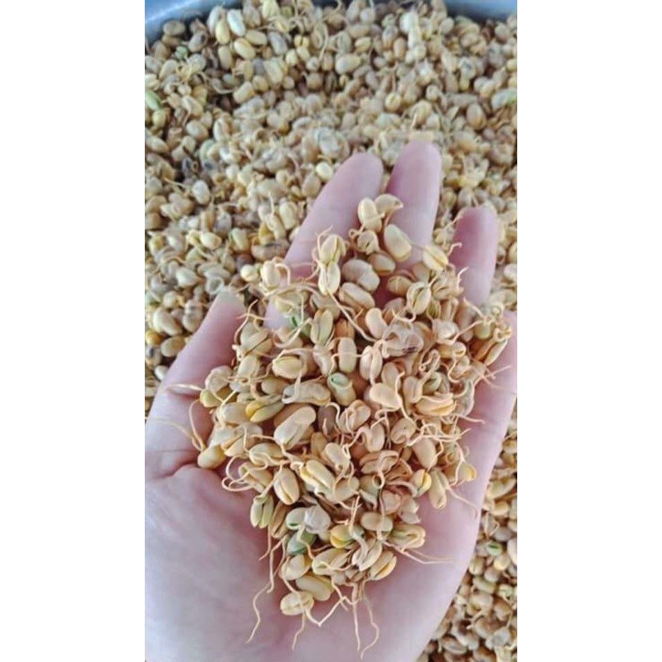 Mầm Đậu Nành Nguyên Xơ Cao Cấp 500g Giúp Tăng Vòng 1 Hiệu Quả | BigBuy360 - bigbuy360.vn