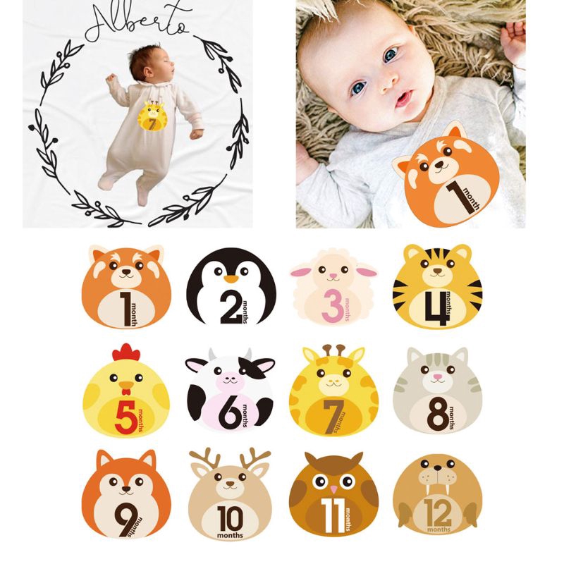 Sticker Dán Trang Trí Hình Động Vật Cho Bé Từ 1-12 Tháng Tuổi