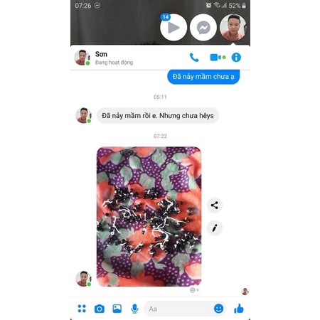 Hạt giống măng tây F1 Loại dễ trồng năng xuất cao kháng sâu bệnh ( gói 100 gram , 300gram ,500gram )