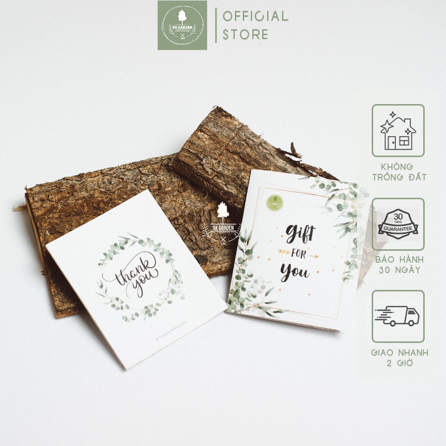 Thiệp Ghi Tay Thiết Kế Đẹp - Ghi Lời Chúc Mừng Kèm Quà Tặng - 9X Garden