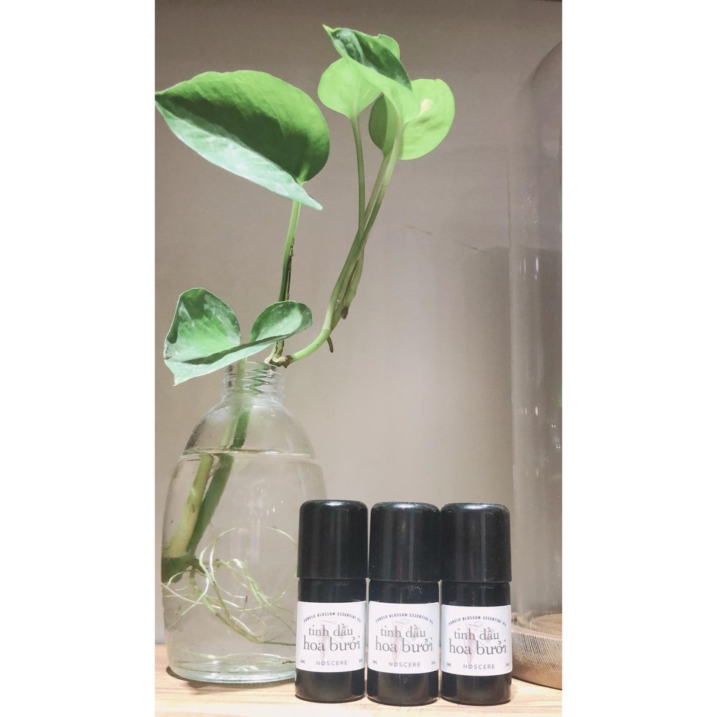 Noscere | Tinh dầu hoa bưởi