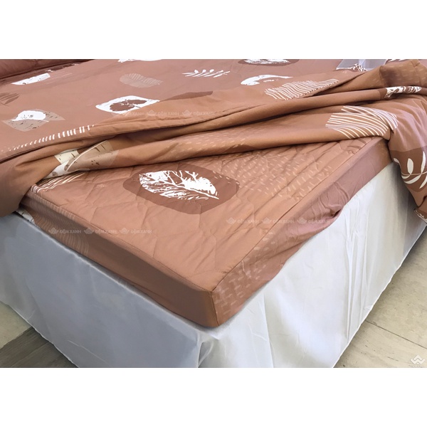 Bộ ga gối Sông Hồng Basic cotton BC22062