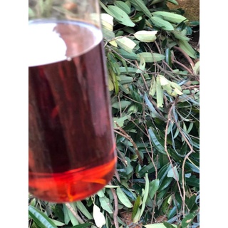 100ml tinh dầu quế