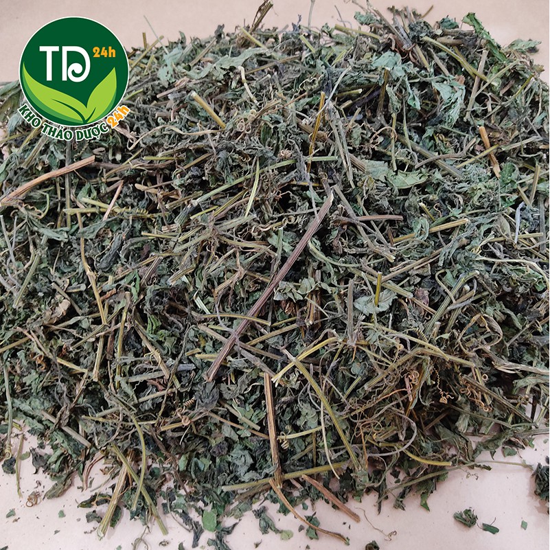 [500 gram] Trà giảo cổ lam 7 lá SaPa, giảm cholesterol trong máu, lưu thông máu não, ngừa tai biến, đột quỵ