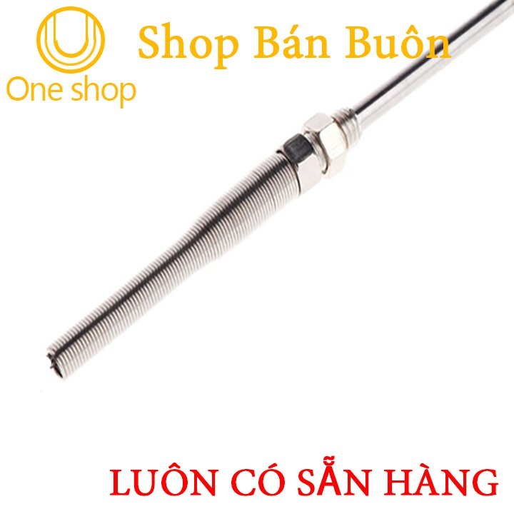 Dây Can Nhiêt WRNT 0-600 Độ C Chiều Dài Đầu Dò 20cm