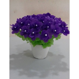 Hoa gấm nhỏ .25k/bộ,combo 560k