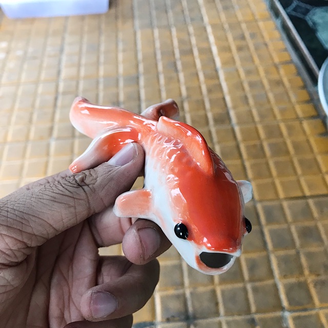 CÁ CHÉP TRANG TRÍ HỒ CÁ NON BỘ DÀI 14CM