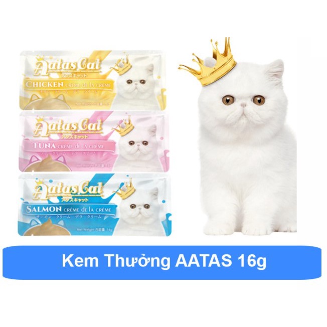 Hộp 40 tuýp - Súp thường Aatas Cat cho mèo tuýp 16g