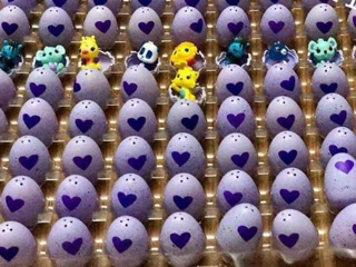 Trứng Thú Tự Ấp HATCHIMAL
