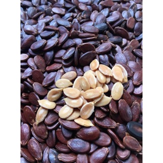 Hạt dưa không màu  ( hạt nhỏ )