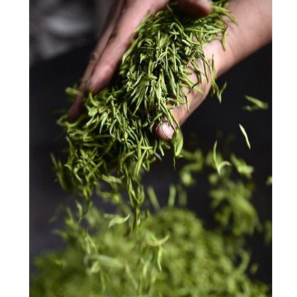 Trà xanh / chè búp Thái Nguyên loại đặc biệt 500g