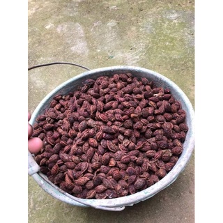 Hạt Đào Thất Thốn Bích Kép.