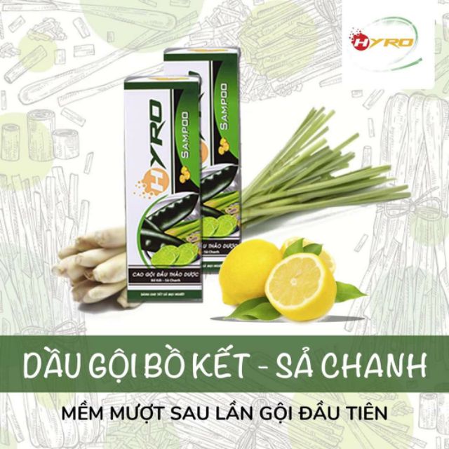 Dầu gội bồ kết chanh sả