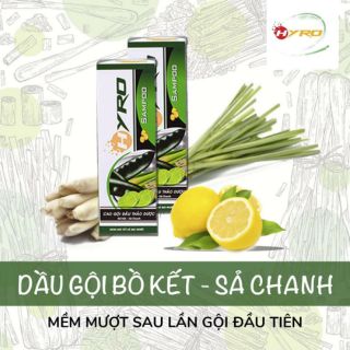 Dầu gội bồ kết chanh sả