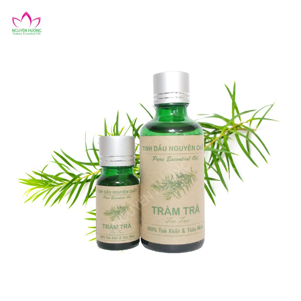 Tinh dầu tràm trà tea tree oil - Nguyên chất xông mặt, chấm mụn hiệu quả