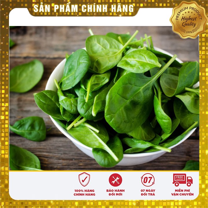 Hạt Giống Rau Chân vịt ( bina) gói 20 gram