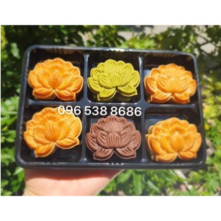 50 cái hộp 6 ngăn bánh đáy đen HT530 loại to dùng để đựng bánh trung thu