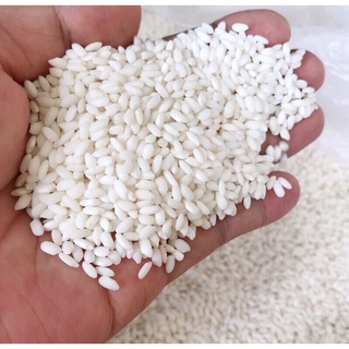 ⚡️NOWSHIP⚡️GẠO NẾP CÁI HOA VÀNG (Nếp Bắc)