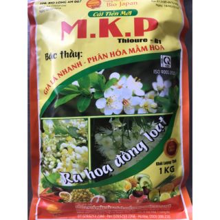 M.K.P phân hóa mầm hoa