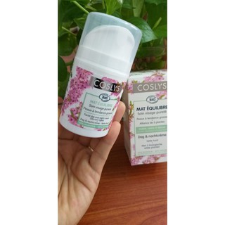 Kem dưỡng cho da dầu hữu cơ Coslys