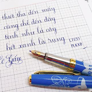 ❤️❤️ BÚT MÀI LETA 033