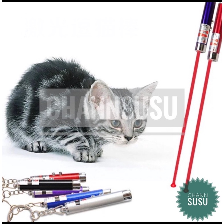 Lazer mèo 2 chế độ chiếu - Đèn đồ chơi cho chó mèo thú cưng