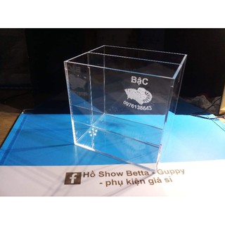 hồ show 2 ngăn khắc logo