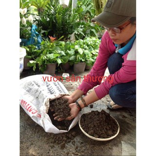 Gói 5kg Đất Thịt Trồng Cây Tặng Kèm 100gr Trấu Chuyên Dùng Cho Rau, Củ, Quả, Cây Cảnh