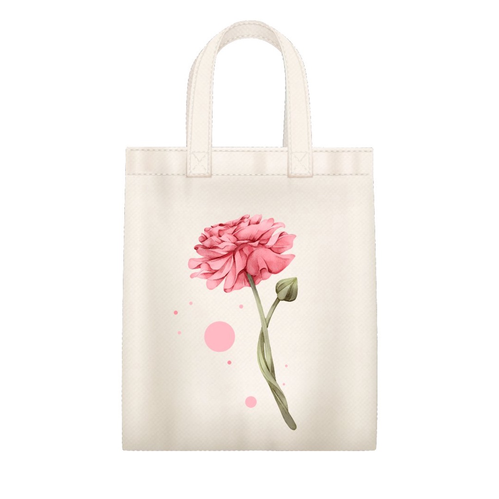 TÚI VẢI CANVAS IN HÌNH - ECO BAG SIZE LỚN
