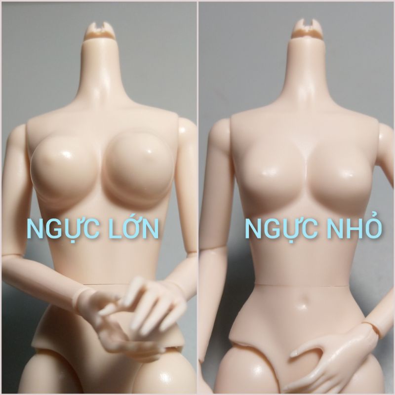 Cơ thể xinyi thế hệ 1