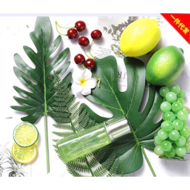 Phụ kiện chụp ảnh, decor -cành lá,hoa quả - HN