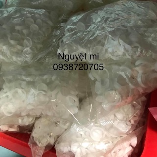 Nhẫn đựng keo( trơn)