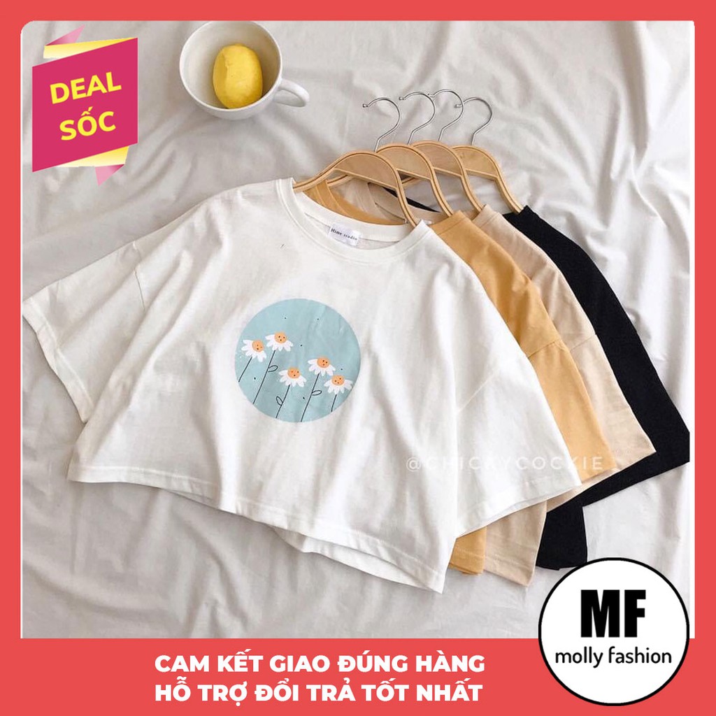 [Mã FAMAYWA giảm 10K đơn 50K] Áo Croptop nữ form rộng kiểu Hàn Quốc 5 Flowers Freesize dưới 55kg Molly Fashion