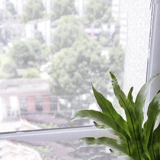Màn Lưới Chống Muỗi Cho Cửa Sổ