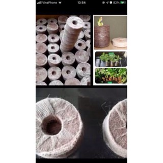 Combo 50 viên nén ươm hạt sơ dừa loại tốt