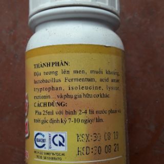 Bộ đôi men vi sinh ủ cá, đậu tương lên men