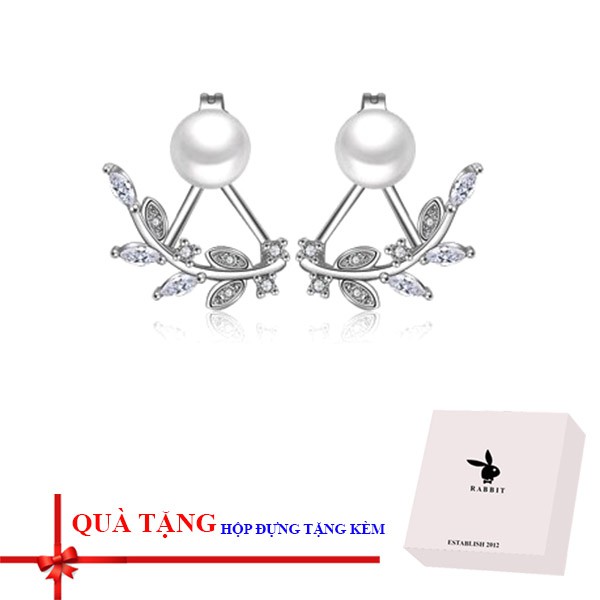 Bông tai / khuyên tai thời trang có hộp tặng kèm