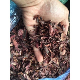 [GIÁ BÁN BUÔN] 100g SÂM ĐẠI HÀNH (KHÔ, SẠCH, ĐỎ, HÀNG MỚI)