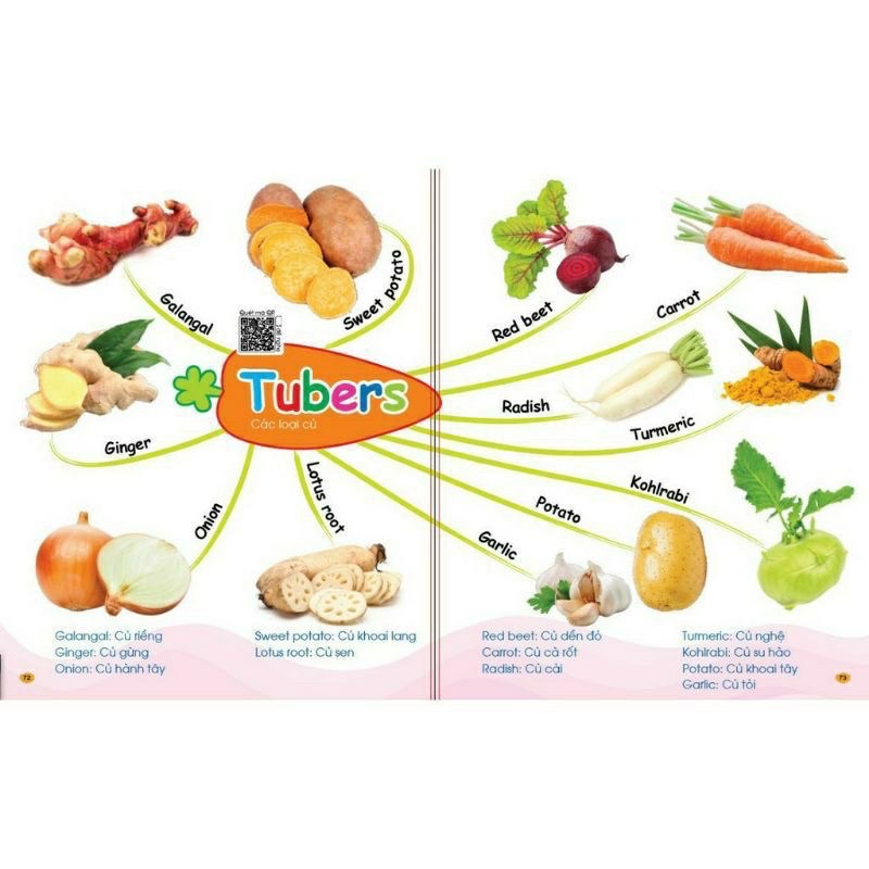 Sách - Chinh Phục Từ Vựng Tiếng Anh - Theo Sơ Đồ Tư Duy Mind Map