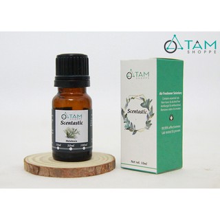 [NGUYÊN CHẤT 100%] Tinh dầu tràm gió nguyên chất (Melaleuca) SCENTASTIC 10ml TAN