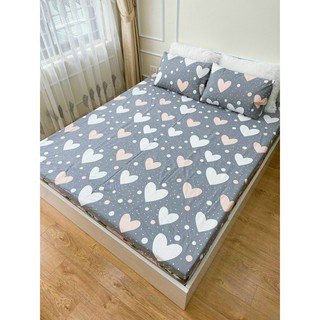Ga trải giường cotton poly cao cấp