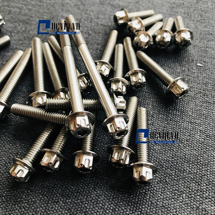 Bộ Ốc Máy Salaya Dành Cho Raider, Satria 150 MS1888