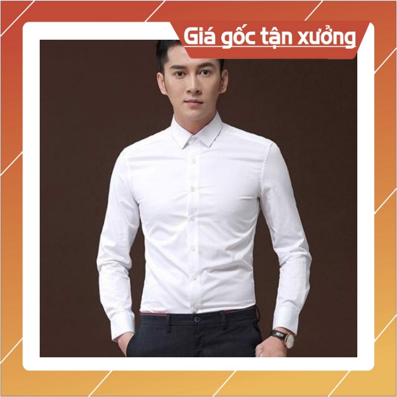 Áo Sơ Mi Nam Cao Cấp | Họa Tiết Trắng Trơn Cổ Bẻ | Màu Trắng (44-73KG)