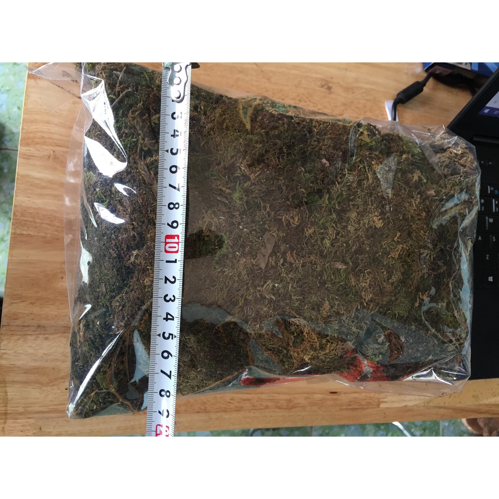 Rêu rừng - 500gr