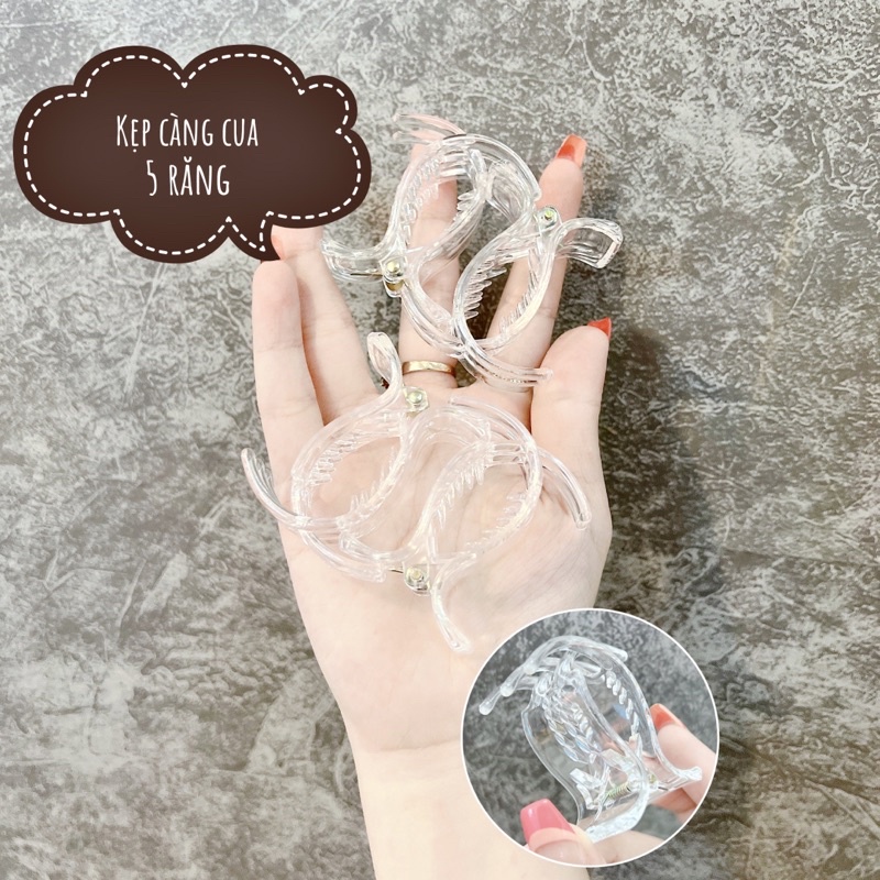 Set 12Kẹp Càng Cua [Trong Suốt - Đen - Nâu]