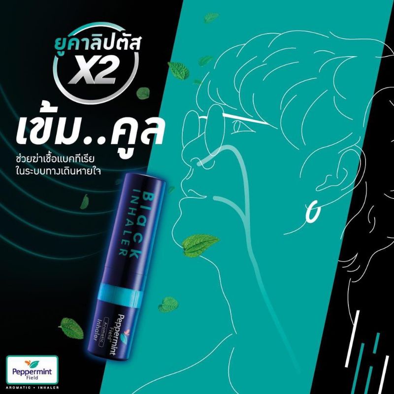 Ống hít mũi bạc hà Black Peppermint Field Lốc 6 ống [Giao hoả tốc]