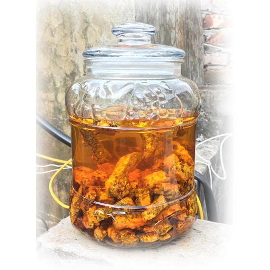 (500gr) Đế Đông Trùng Hạ Thảo MMG Thái Lát | BigBuy360 - bigbuy360.vn