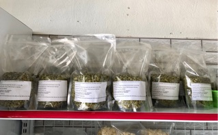 Nhân Hạt Bí Xanh Ấn Độ - 1kg