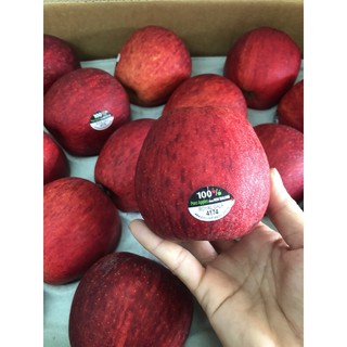 Set 10 trái gần 2 kg Táo Gala New